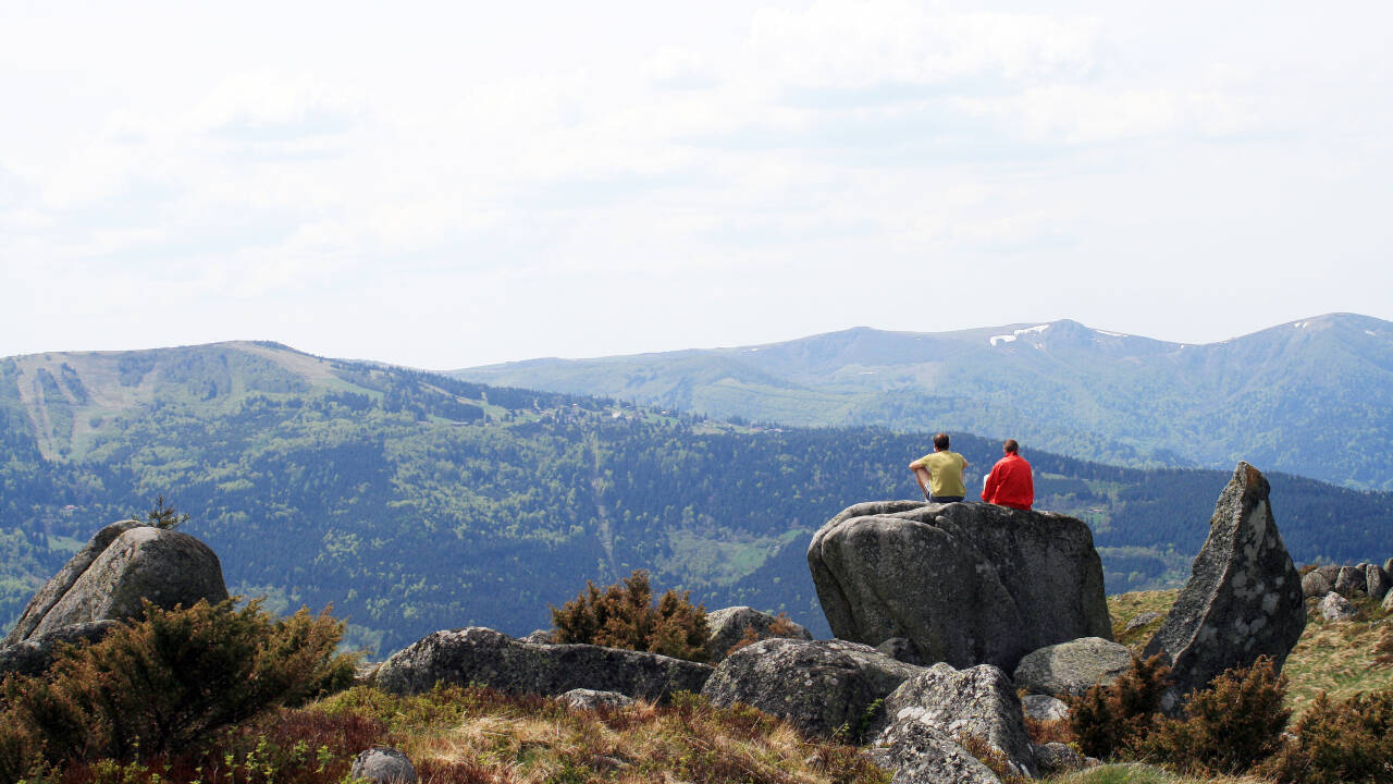 Erkunden Sie wunderschöne Wanderwege im Elsass durch Wälder, Sandsteinfelsen und mit Panoramablicken.